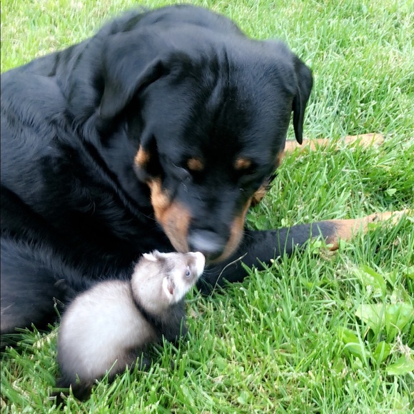 Meet your Part time Posher, full time zoo keeper - Picture 7 of 15